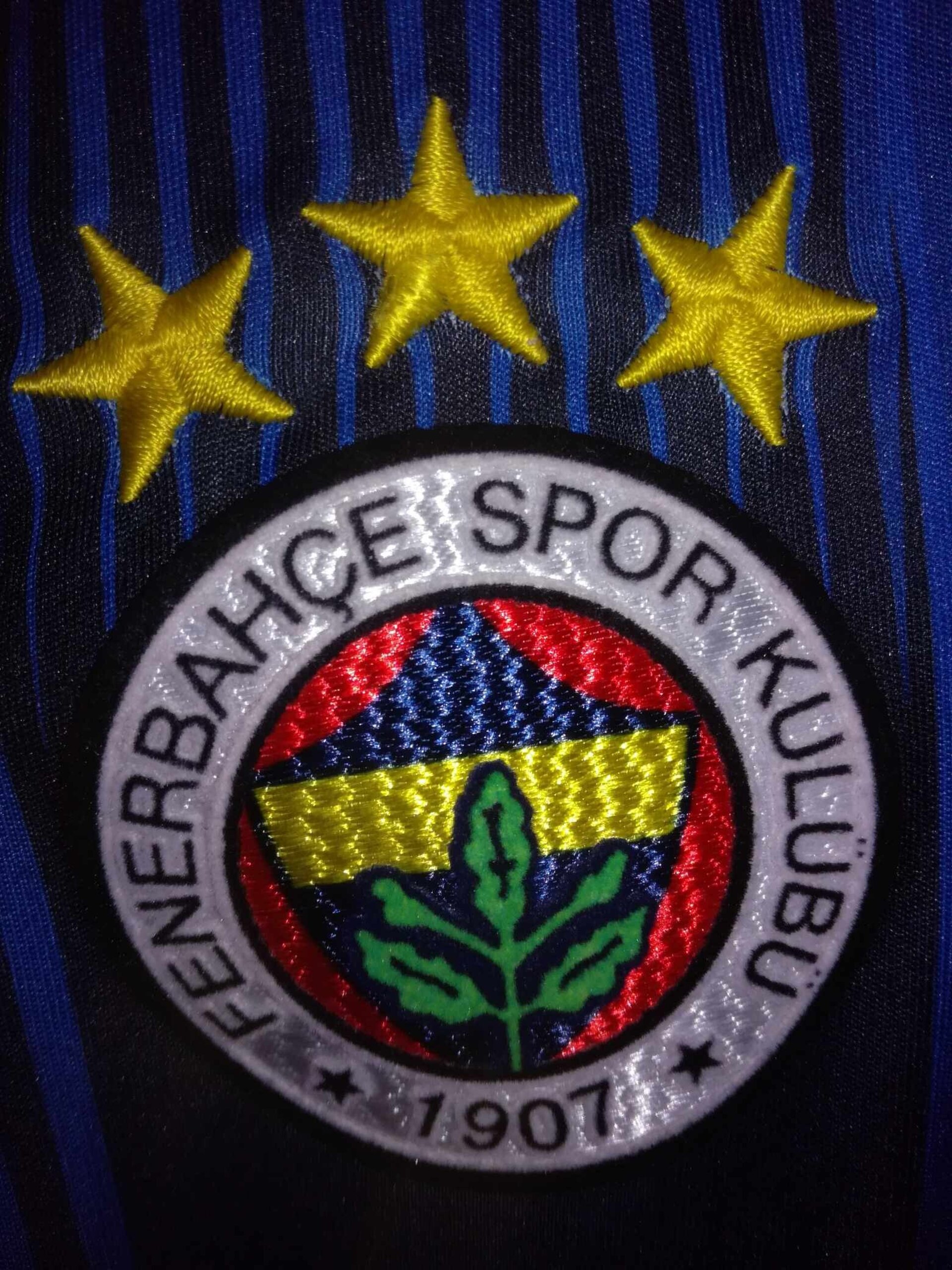 FENERBAHCE 2012-2013 M - 5