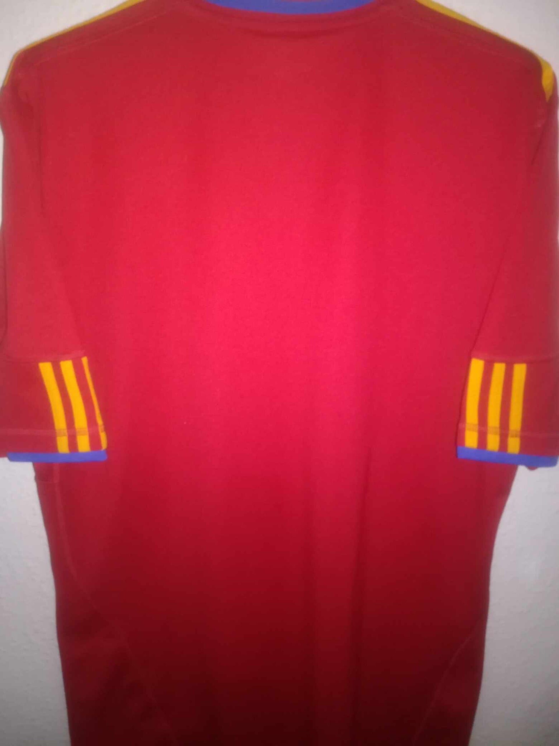 SPAIN 2010 World Cup XL - 5
