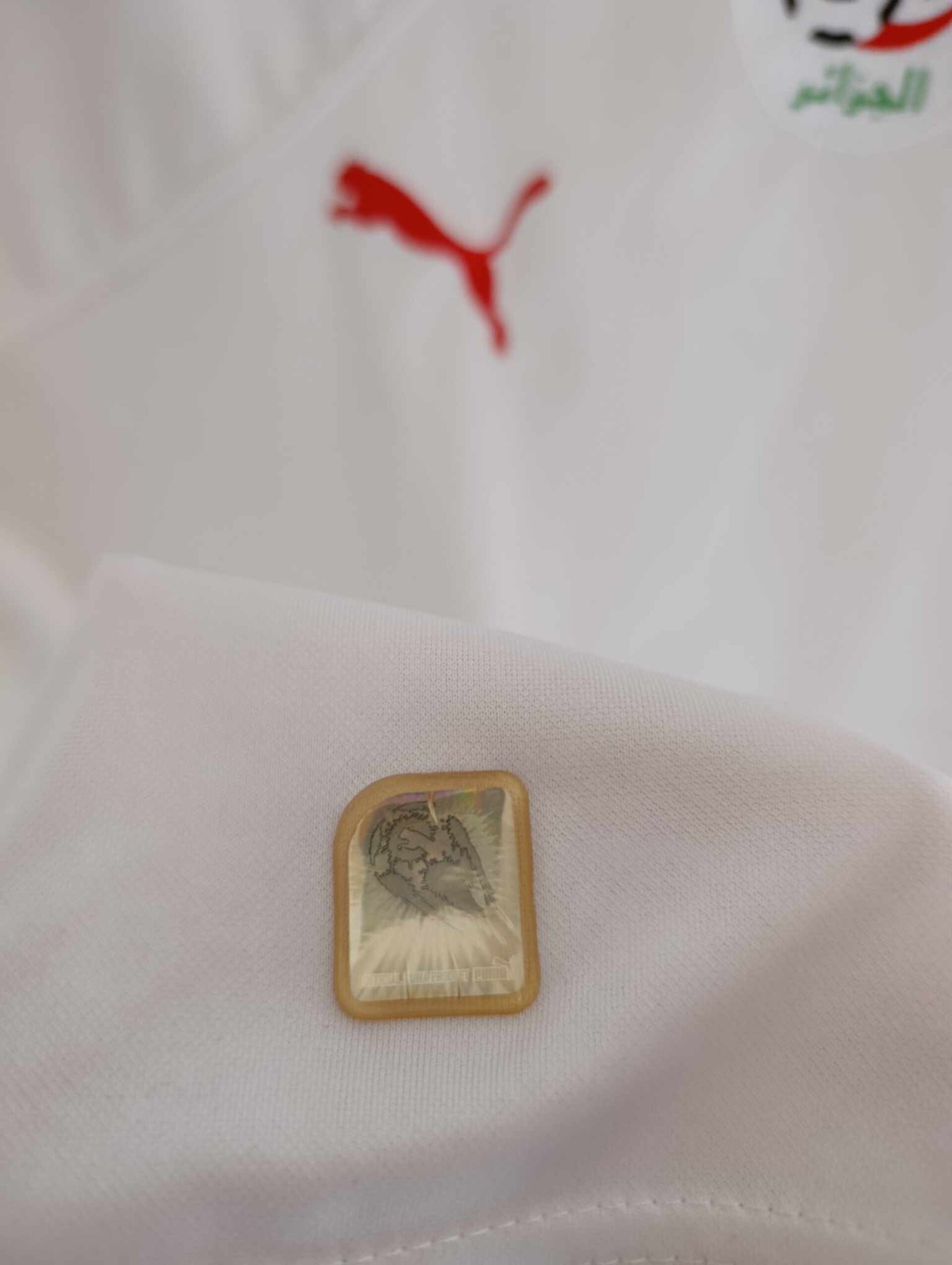 ALGERIA 2010 World Cup S - 6