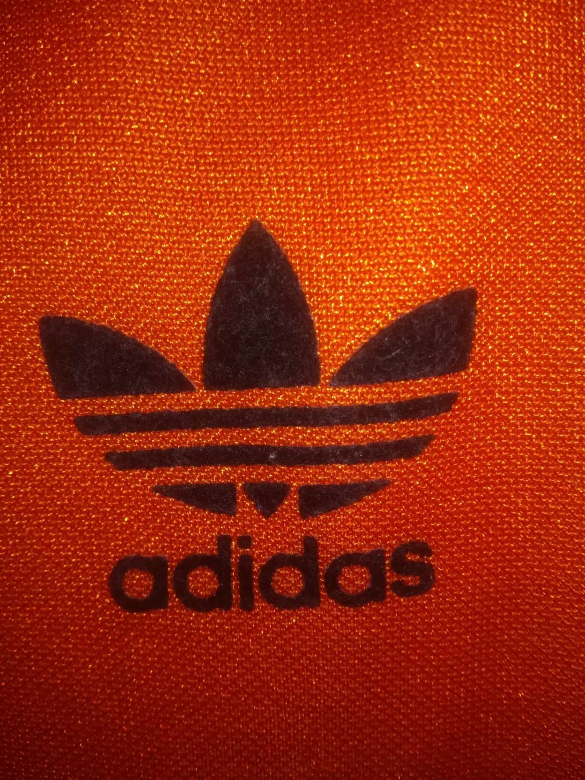 HOLLAND 1986 M - 2