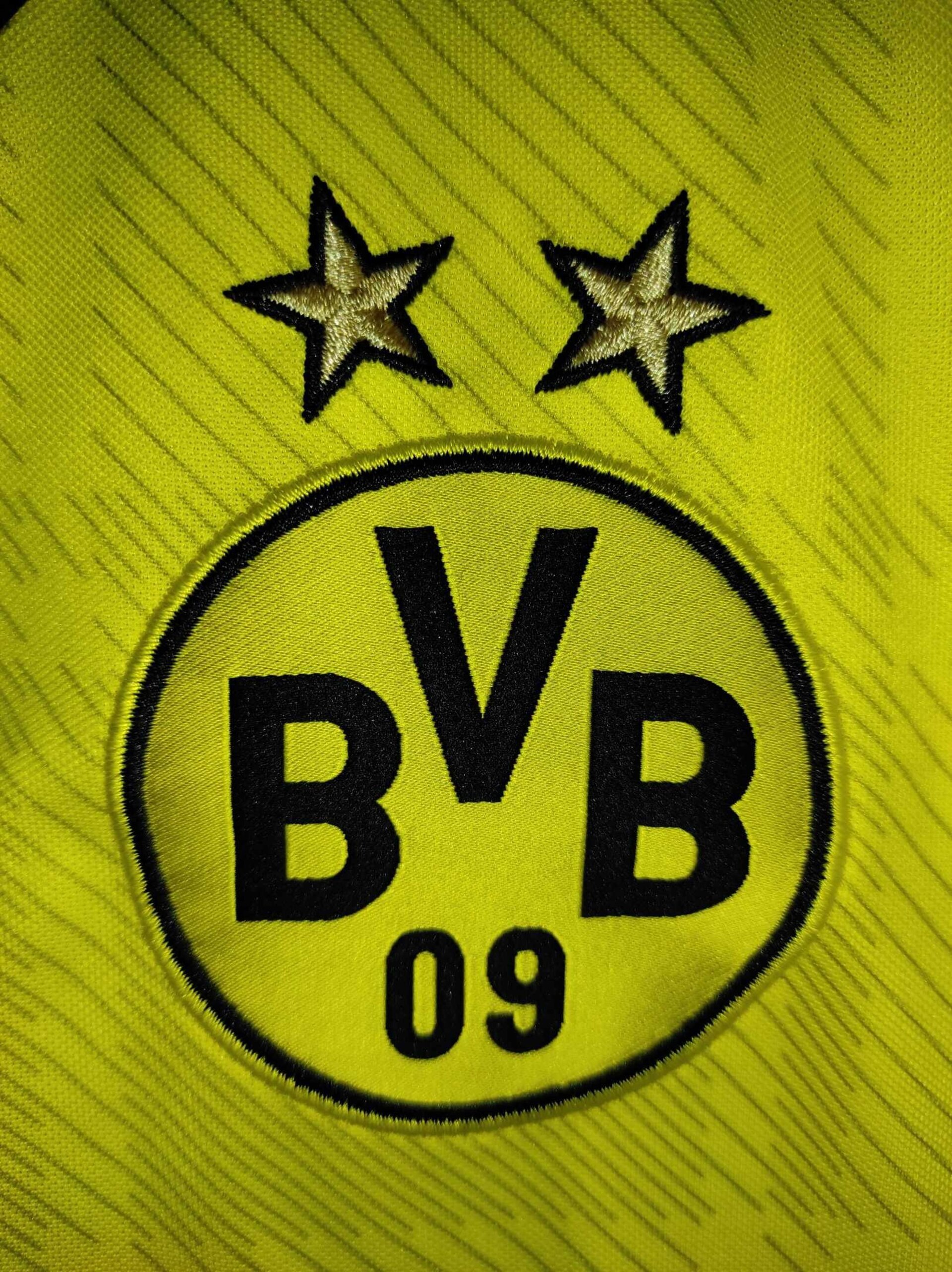 BORUSSIA DORTMUND 2013-2014 Aubameyang 17 L - 5