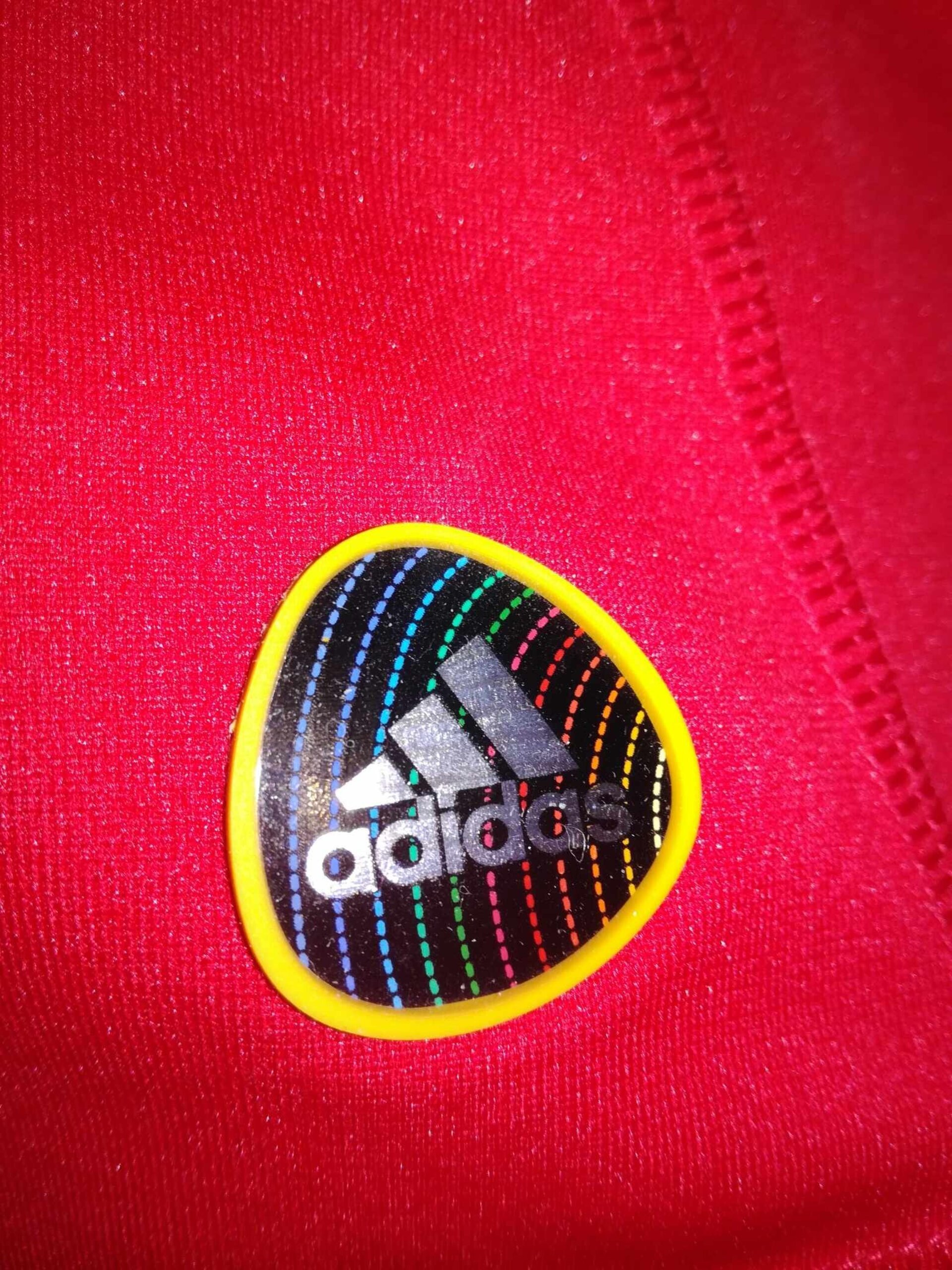 SPAIN 2010 World Cup BNWT L - 6